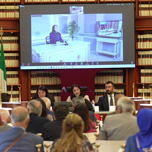 Online Conference with Italian Parliament Members- 25 September 2024