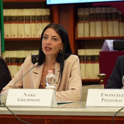 Online Conference with Italian Parliament Members- 25 September 2024