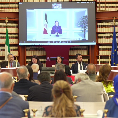 Online Conference with Italian Parliament Members- 25 September 2024