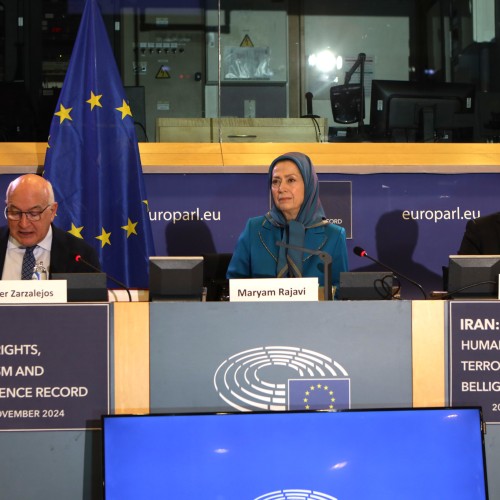 Remarks at the European Parliament- 20 November 2024