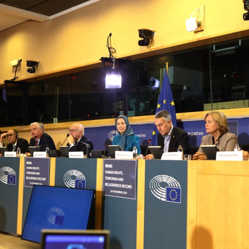 Discours dans une conférence au Parlement européen - 20 Novembre 2024